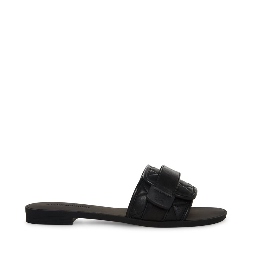 Black Steve Madden Janelle Women's Slides | PH 3142GFI